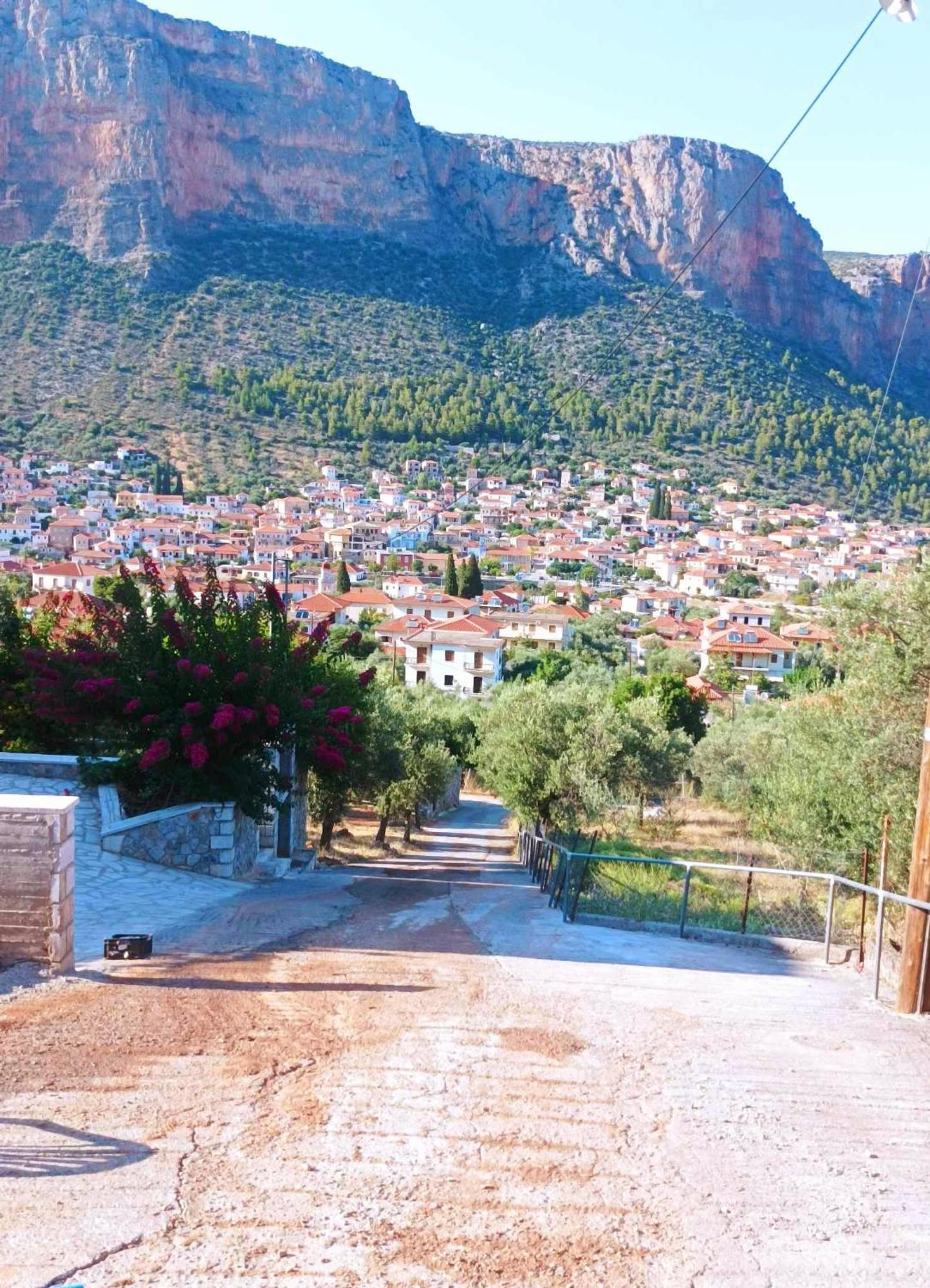 Metaxias House Βίλα Λεωνίδιο Εξωτερικό φωτογραφία